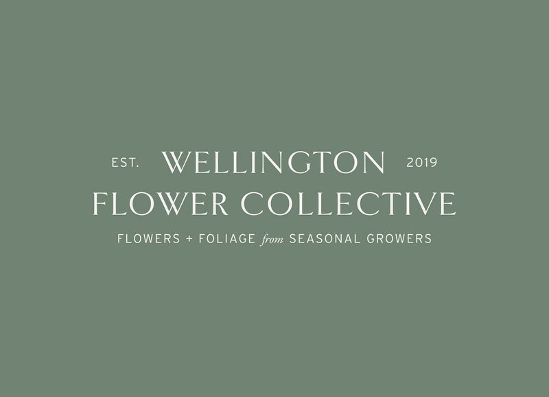 Wellington Flower Collective